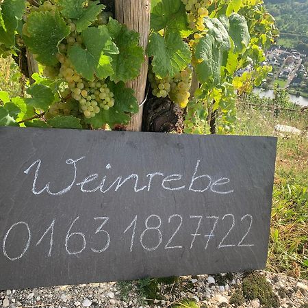 베른카슈텔쿠에스 Weinrebe 아파트 외부 사진